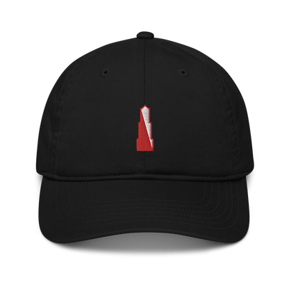 From030 - Baseball Pet ZWART