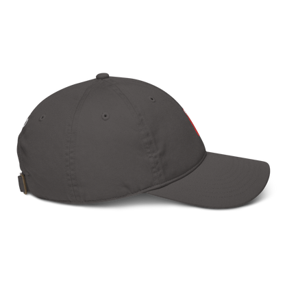 From030 - Baseball Pet GRIJS