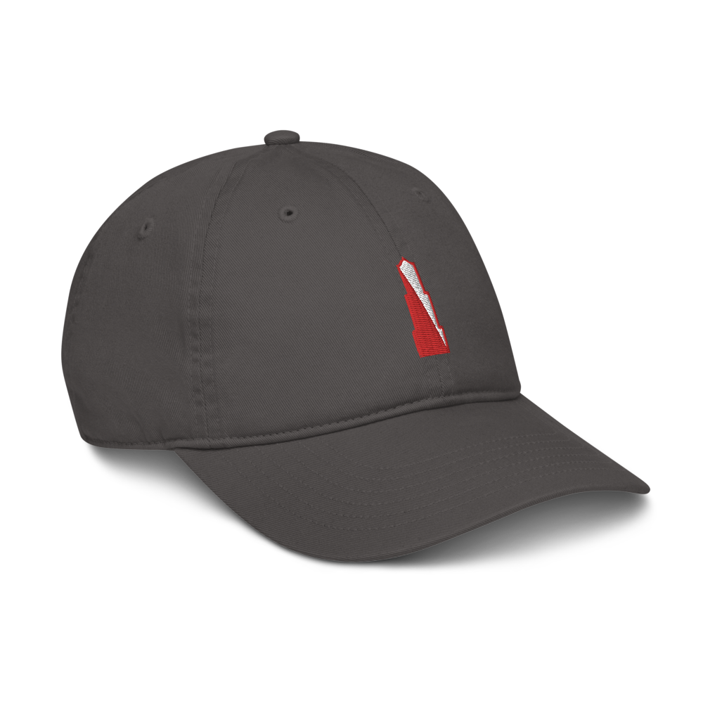 From030 - Baseball Pet GRIJS